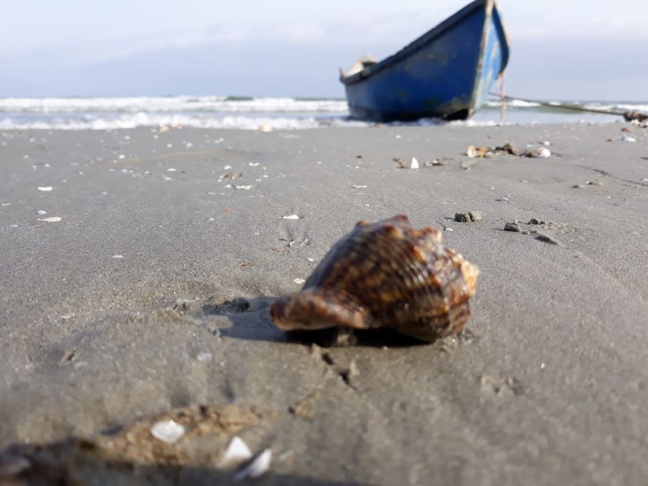 Vizita si intretinere casa de vacanta, locuinta