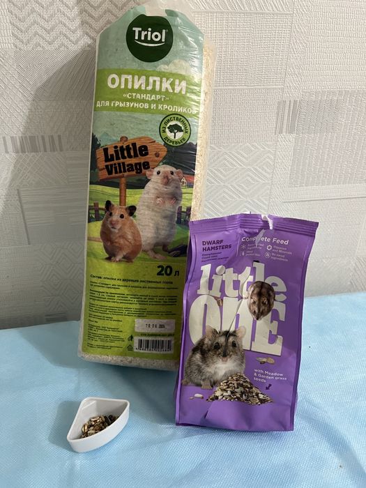 Продам домашнего хомяка