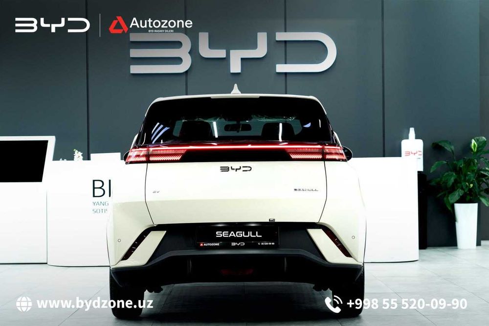BYD Seagull 405km Flying
