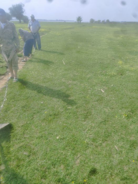 Tabiiy chim va ajriq