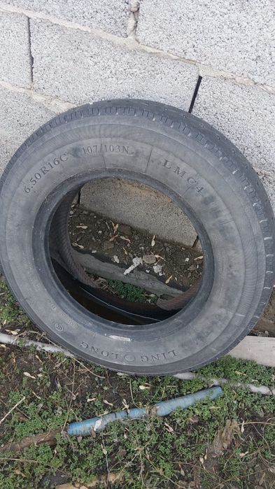 Продам шино 5000