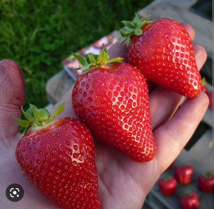 Legings kiygan qizlar