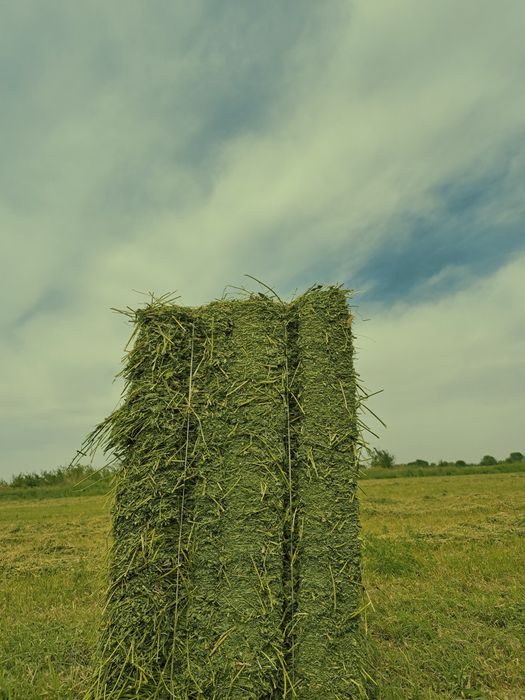 Beda pres sotiladi [продаётся беда прес]