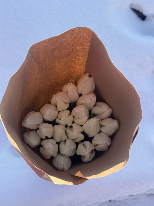 Тюльпаны оптом Алматы