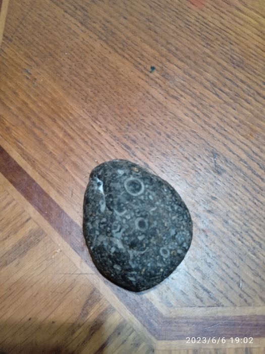 Камень ровесник эпохи динозавров