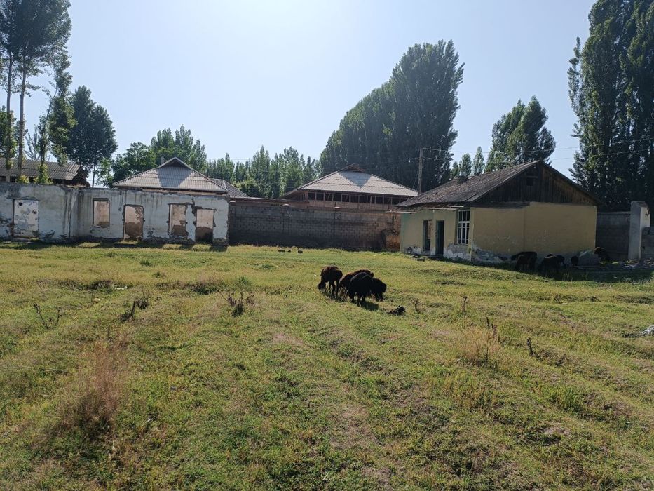 joy sotiladi hamma hujjatlari bor 70 sotix