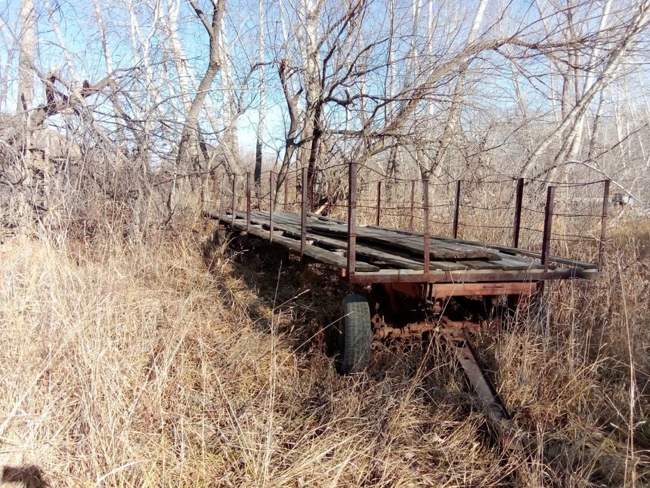 Пасечный прицеп