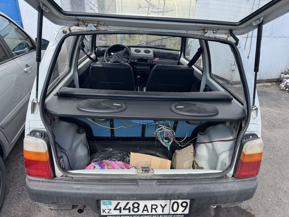 Продам живую оку