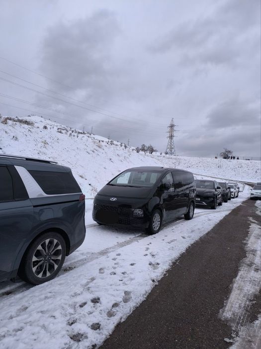 Other Staria 2021 — 3