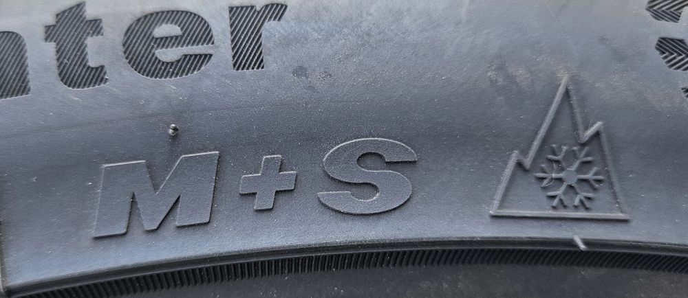 315/30 R21, 105V XL, GRIPMAX, Anvelope iarna M+S, protectie janta