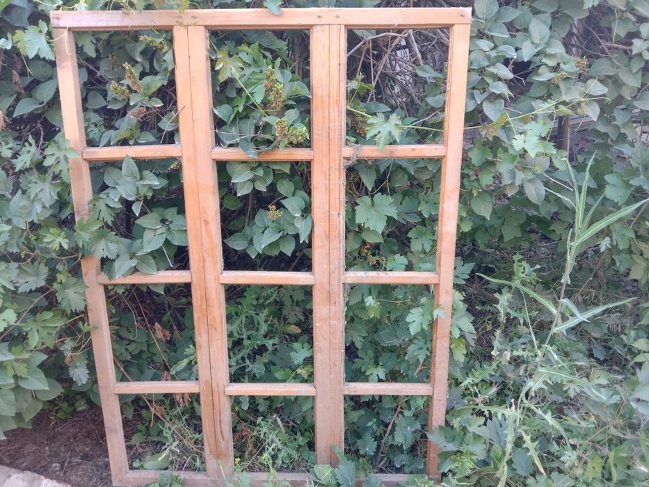 Порно лизат сперму из подружками киска онлайн