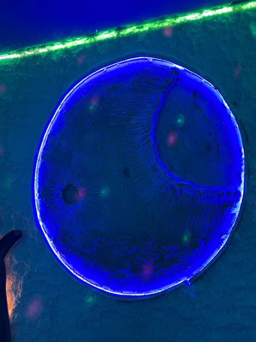 Тұзды шахта/Солевая шахта