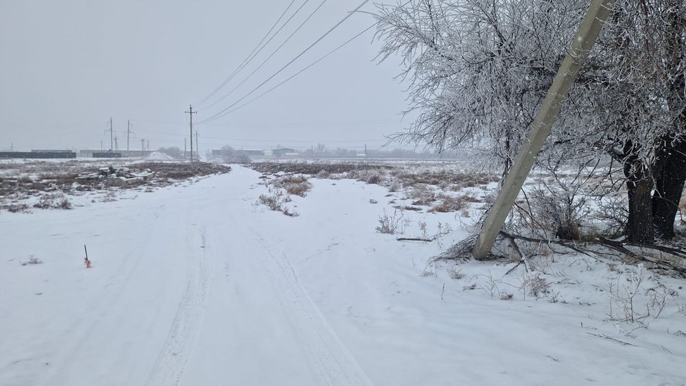 Участок 50 соток