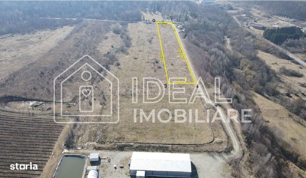 Teren extravilan 6.500 mp – Cârțișoara | Comision 0%