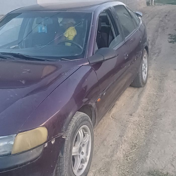 Опил виктра 1998 жылғы