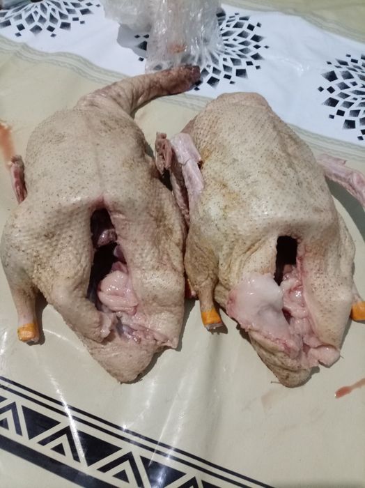 Продам мясо утки