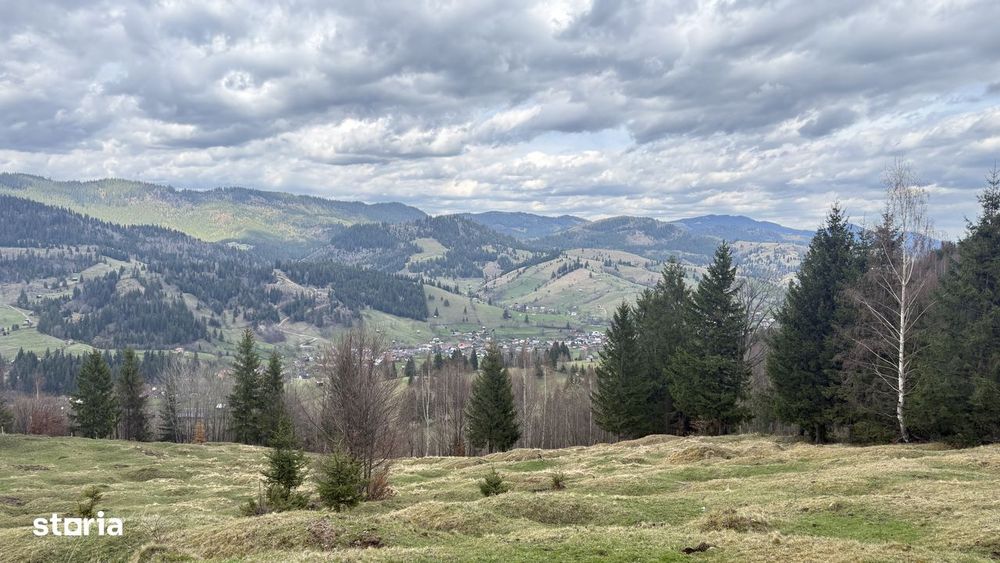 Teren izolat fără vecini, inconjurat de pădure, 1.02 ha