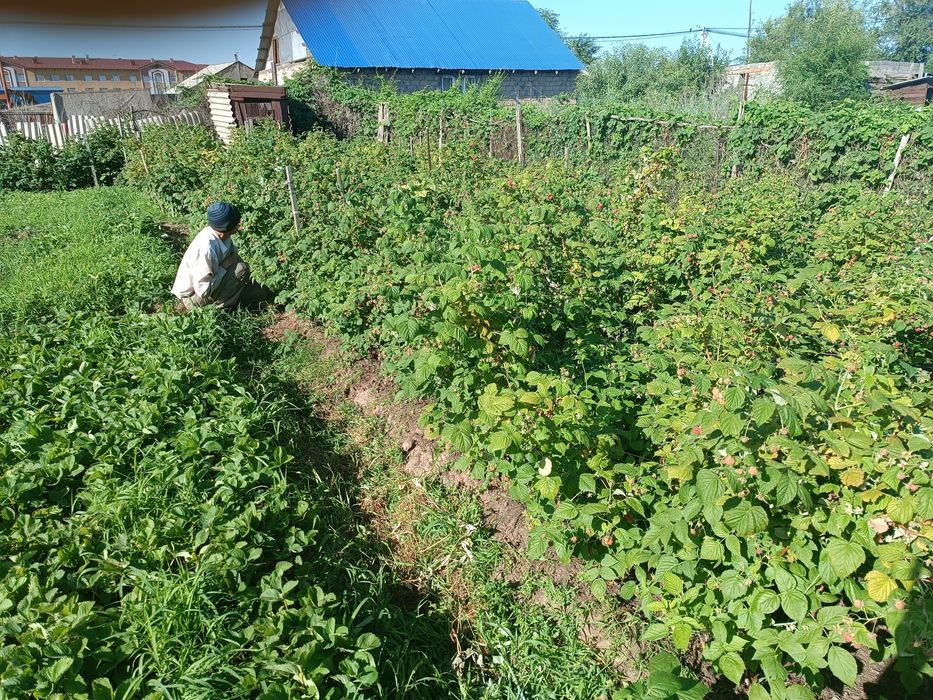 Дачный участок. Левый Восточный