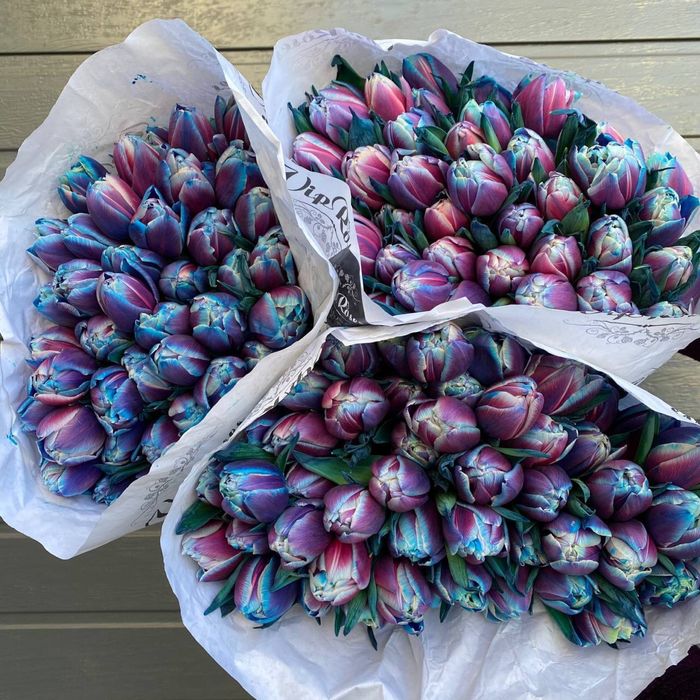 Цветы , букетв роз,пионы тюльпаны