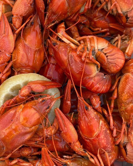 Царские раки, икра, рыба, крабы