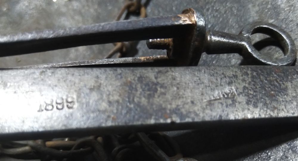 Царские весы 1899 год