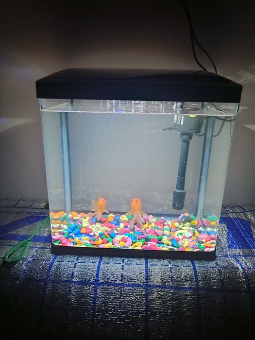 Akvarium toza Xitoy 30 LITRli