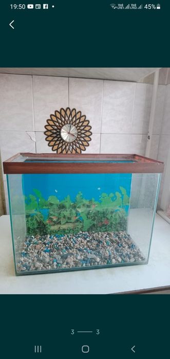 Продам аквариумы