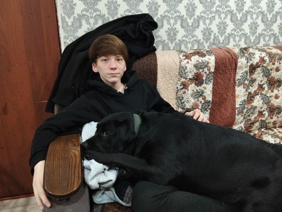 Ищем кабеля лабладор  черный