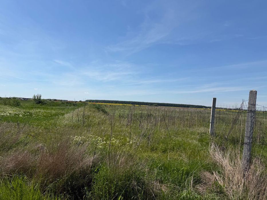 Teren de Vânzare- Magurele, Ilfov