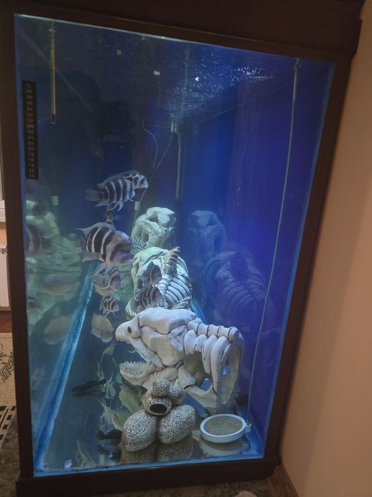 Продам аквариум большой