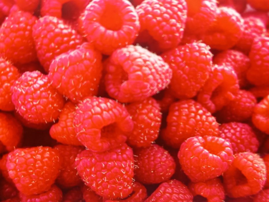 Продам малину местную