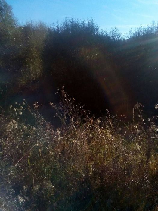 Продава се Къща в с. Арбанаси, Област Велико Търново - 64 кв.м за 391 €/кв.м - Снимка #5