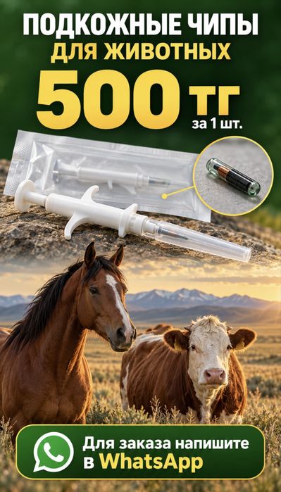 Чипы для лошадей, коров по 500тг