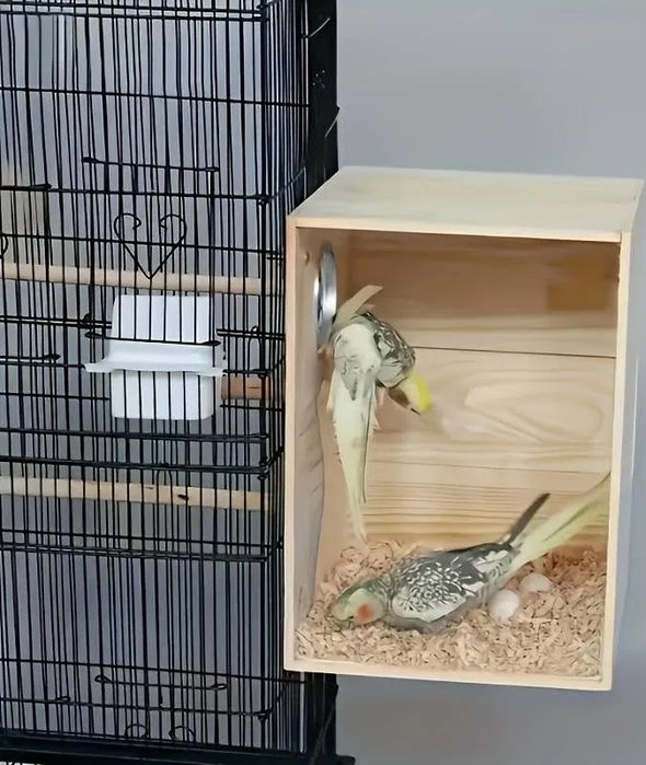 Гнезда для птичек