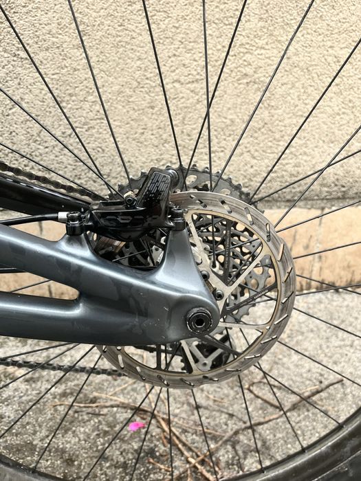 Forbidden Druid 2023