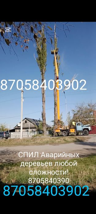 Пилим аварийные деревья