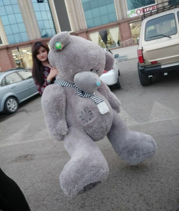 TEDDY original 100% Teddy teddi