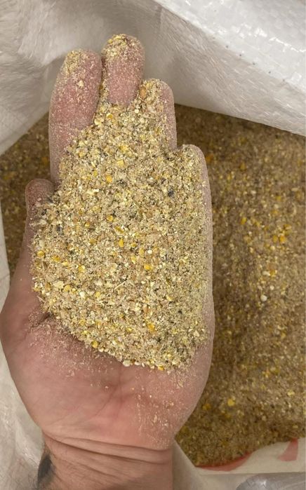 Granule / brizura starter pui crestere gaini ouatoare