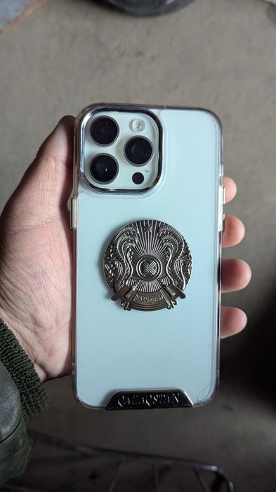 15 про Макс 256/100