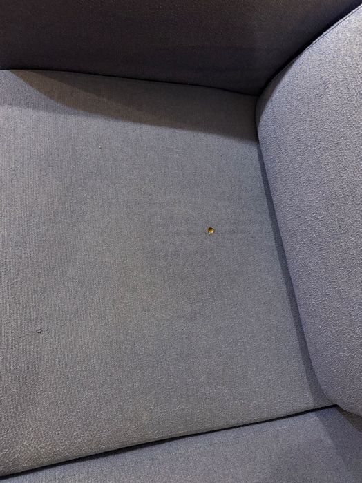 3-местен диван – 100 €, за бързо вземане (София)