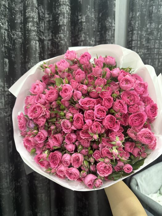 Цветы красивые продам срочно