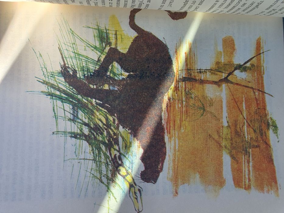 Книга за джунглата