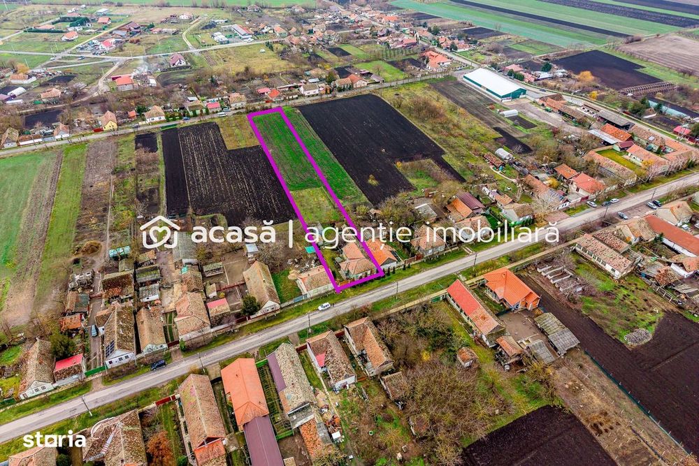 Casă + livadă tânără + curte 2.500 mp în Dorobanți