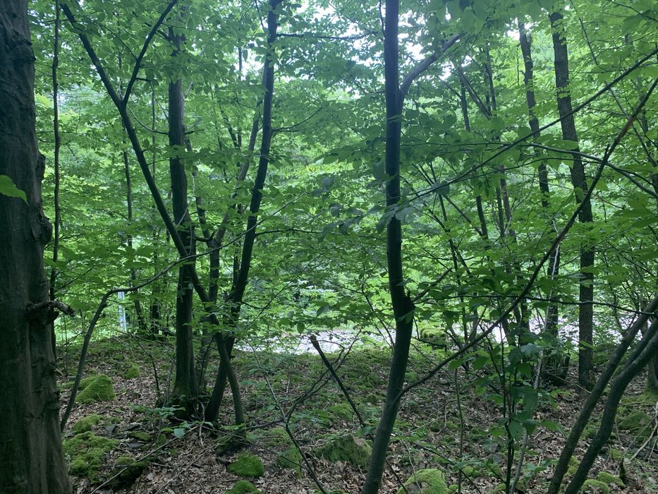 Село Желен парцел