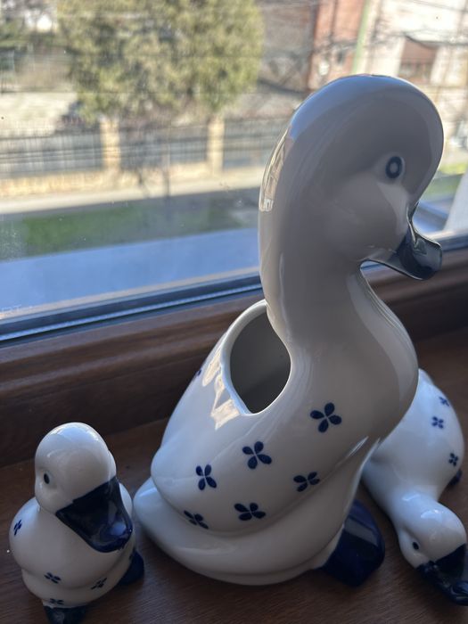 Vaza ratusca cu bobocei