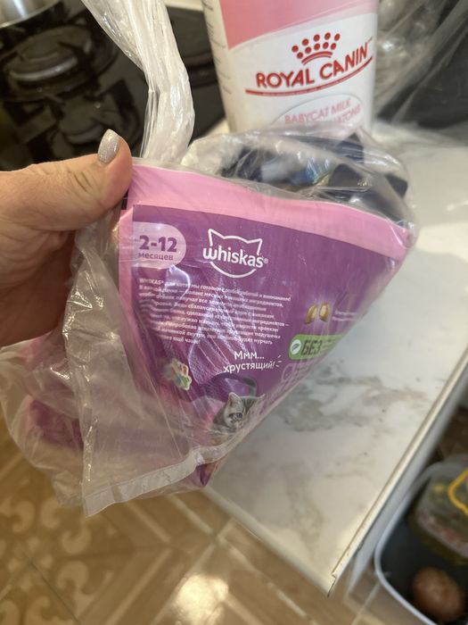 Все для вашего котенка