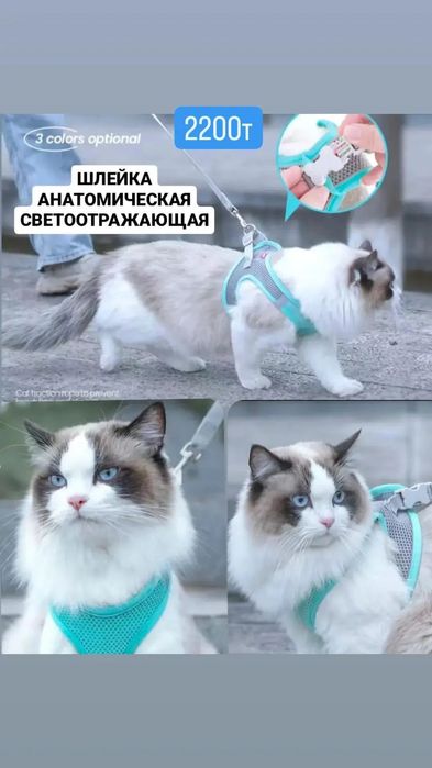 лотки для кошек , зоотовары