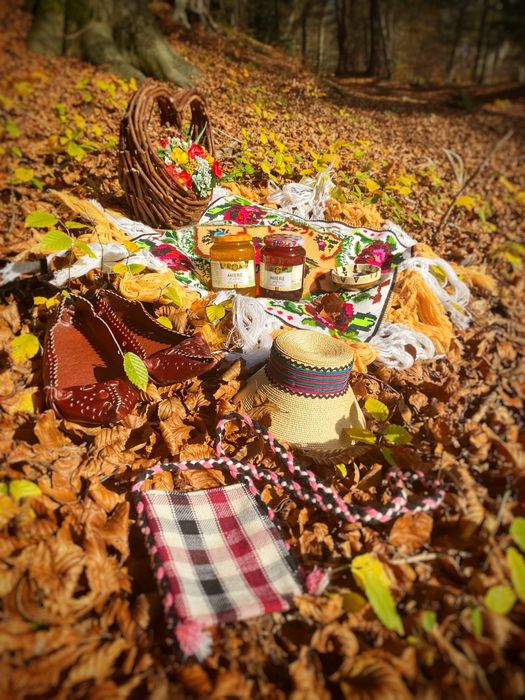 Vând miere de MUNTE, SALCÂM și tinctură de PROPOLIS!