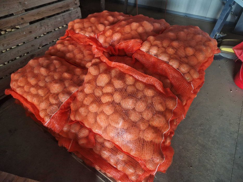 Cartofi de consum alb Marabel