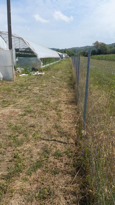 Vand solarii cu teren cu tot